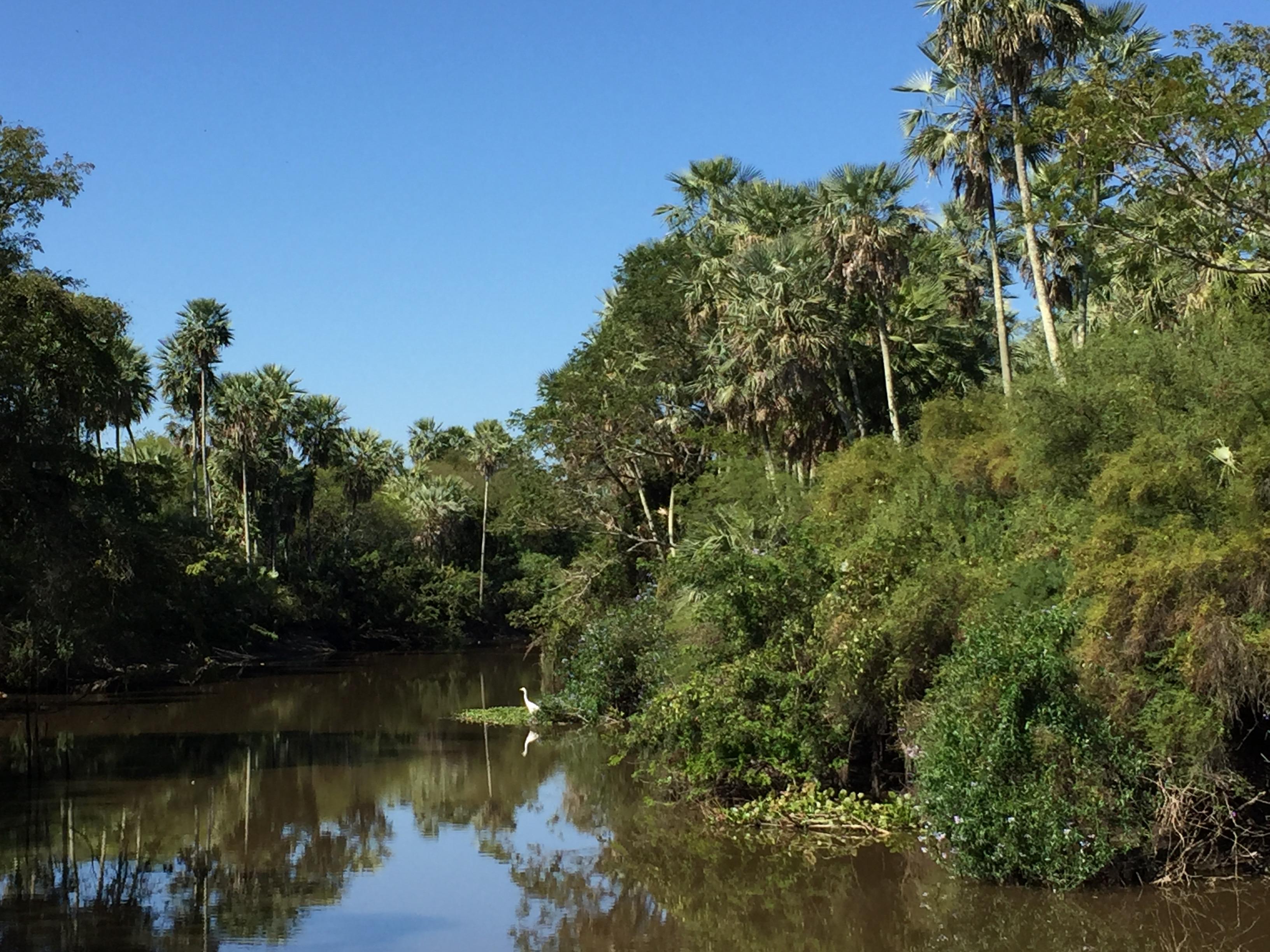 Agua Dulce - Destacada