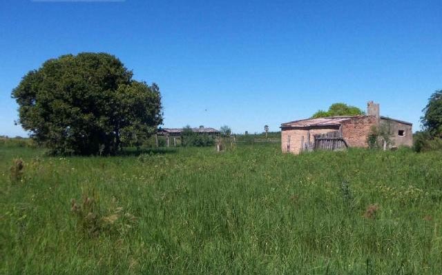 Campo Alegre - Imagen