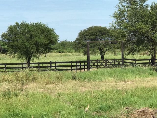 Campo Alegre - Imagen