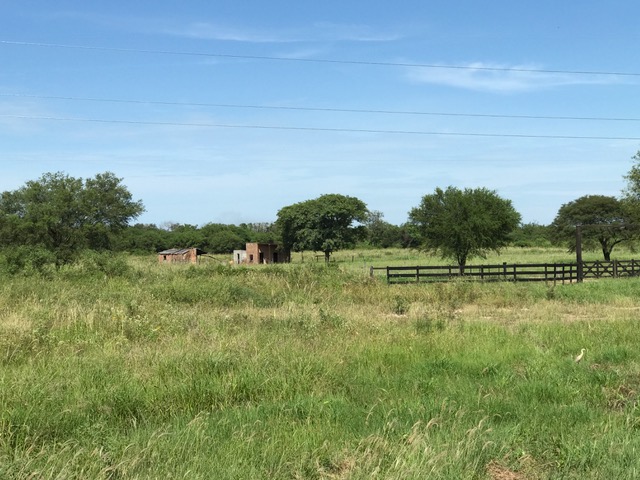 Campo Alegre - Imagen