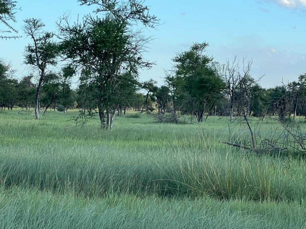 Campo Alegre - Imagen