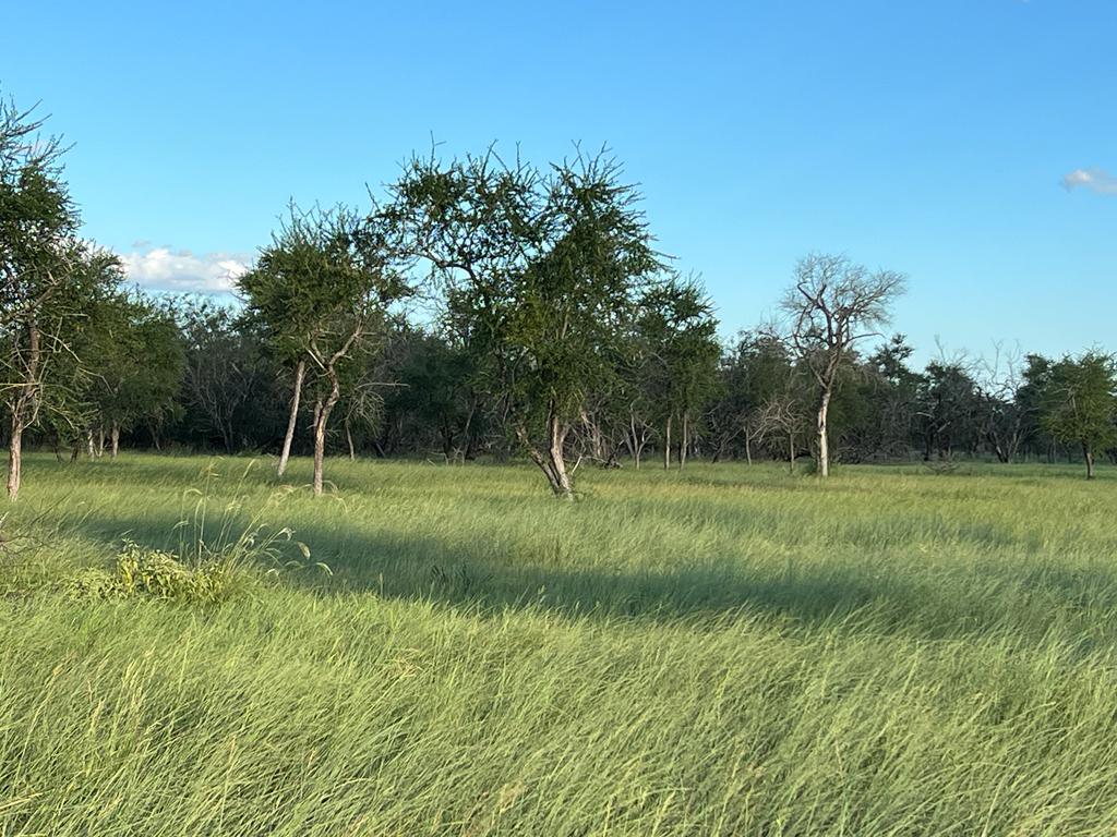 Campo Alegre - Destacada
