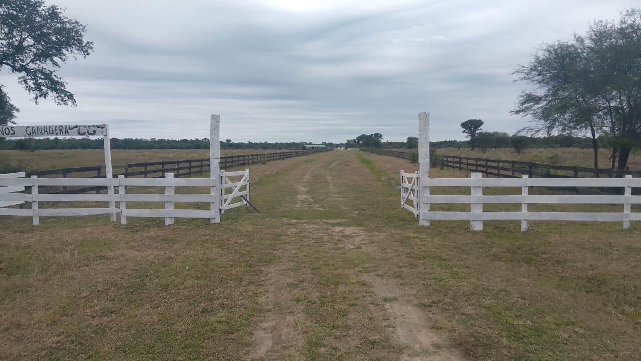 Campo Lindo - Imagen