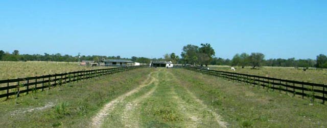 Campo Lindo