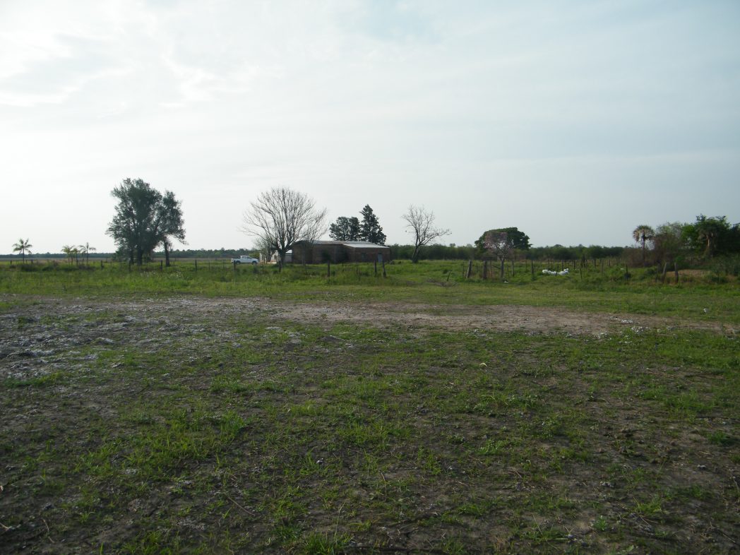 El Cacuy - Imagen