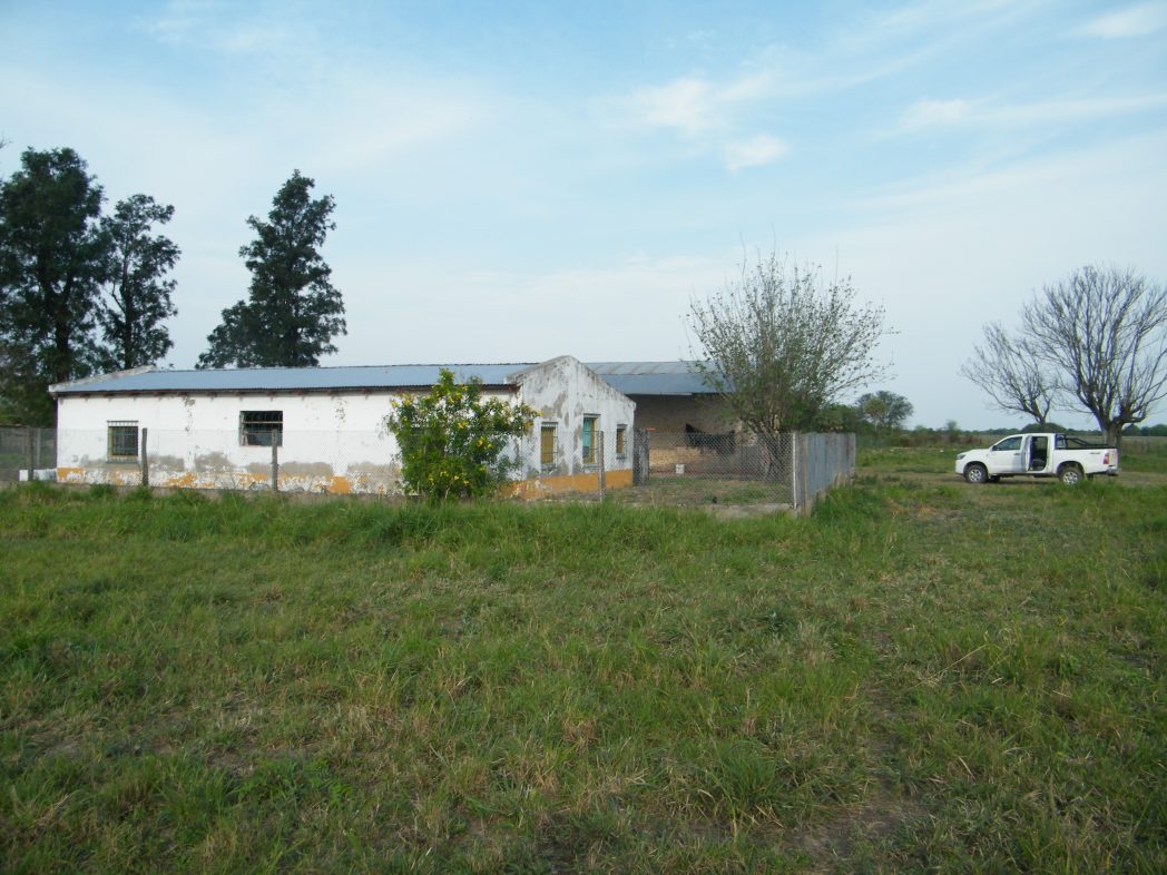 El Cacuy - Imagen