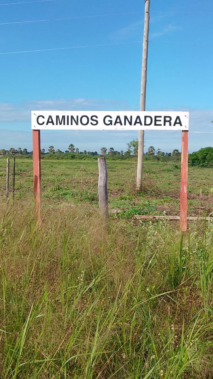 El Yarará - Destacada