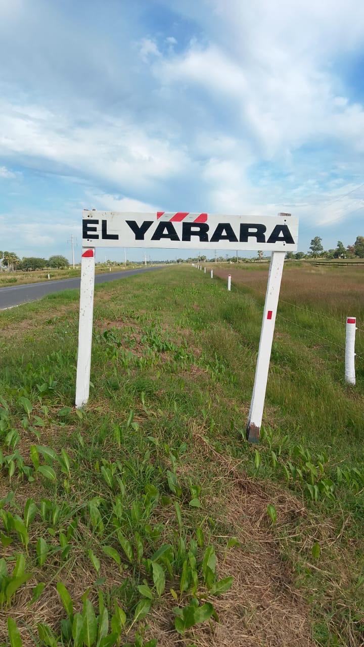 El Yarará - Imagen