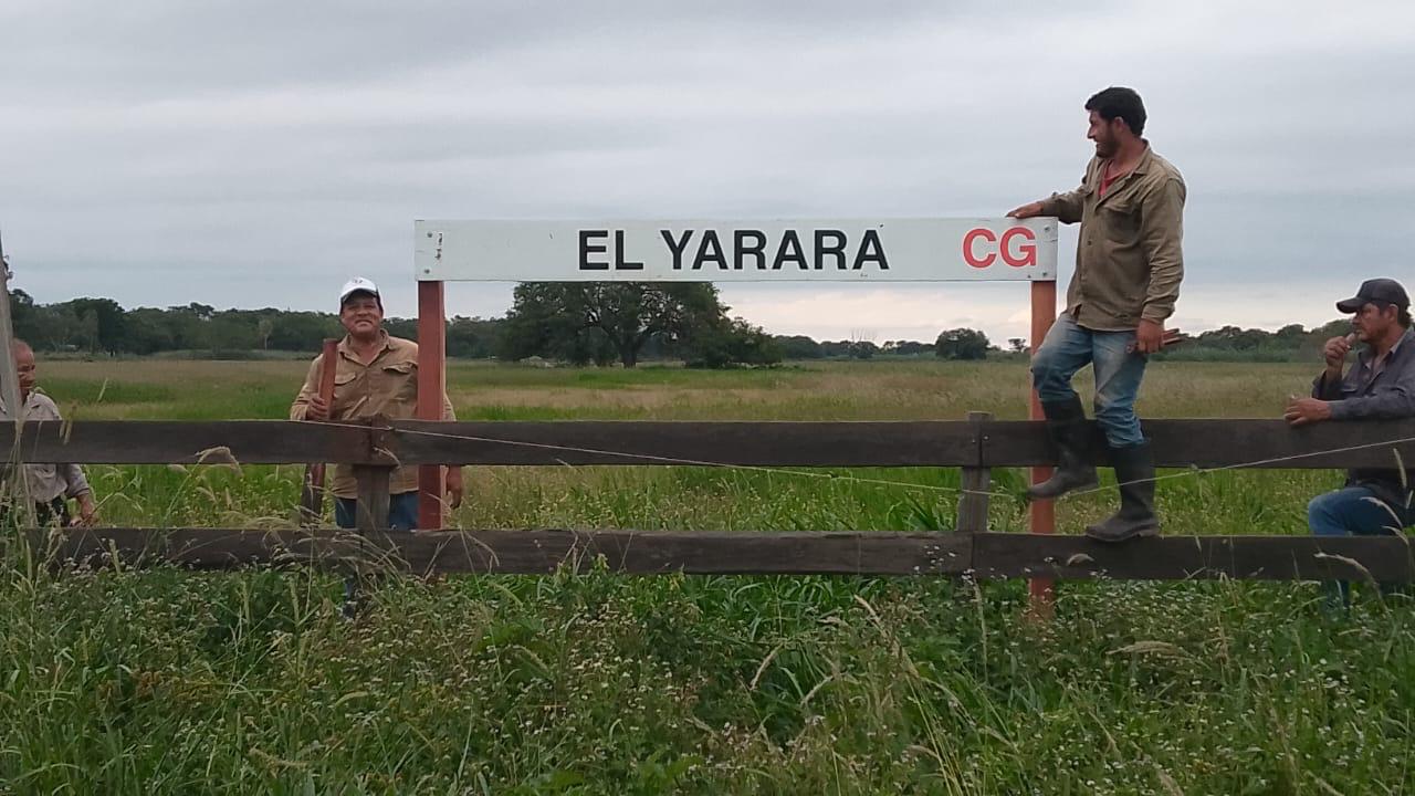 El Yarará - Imagen