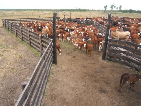 Fortín Yunká - Destacada