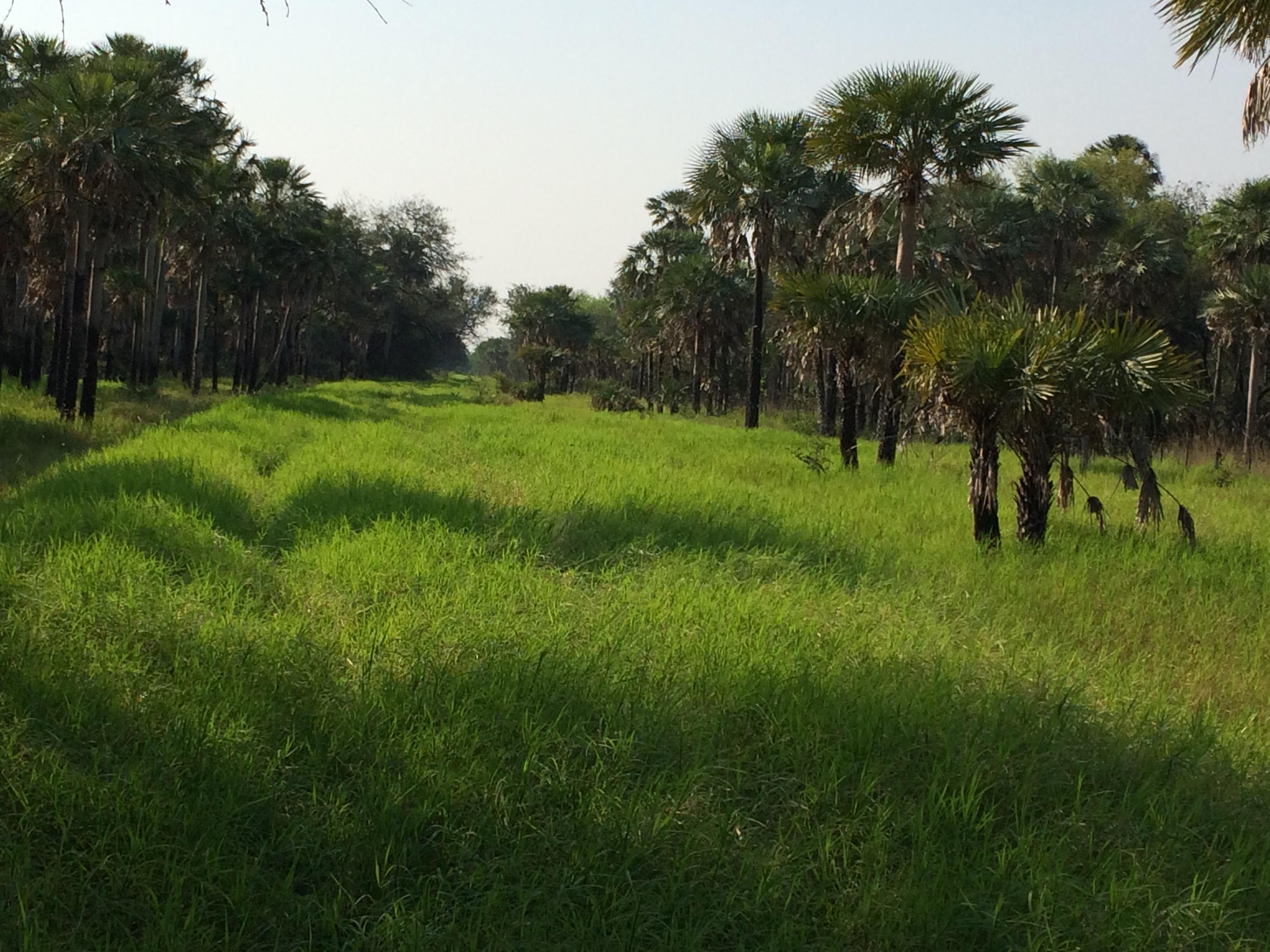 Fortín Yunká - Destacada