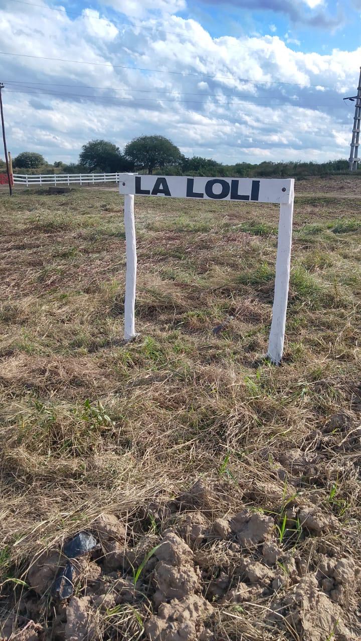 La Loli - Imagen