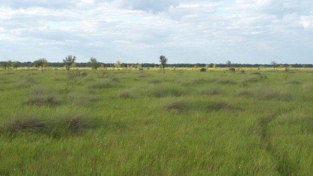 Las Lantanas - Destacada